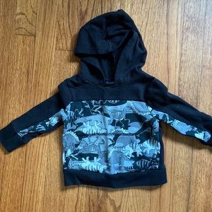 Toddler dinosaur sweatshirt set